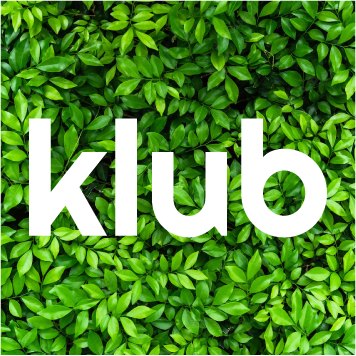 MC Brežice bar (Youth center) (Brezice - 15 min drive)