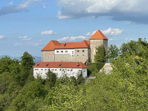 Kozjanski park (depends on location from  0 to 15 min drive)