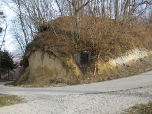 Repnice in Bizeljsko (Bizeljsko - from 1 min to 15 min drive)